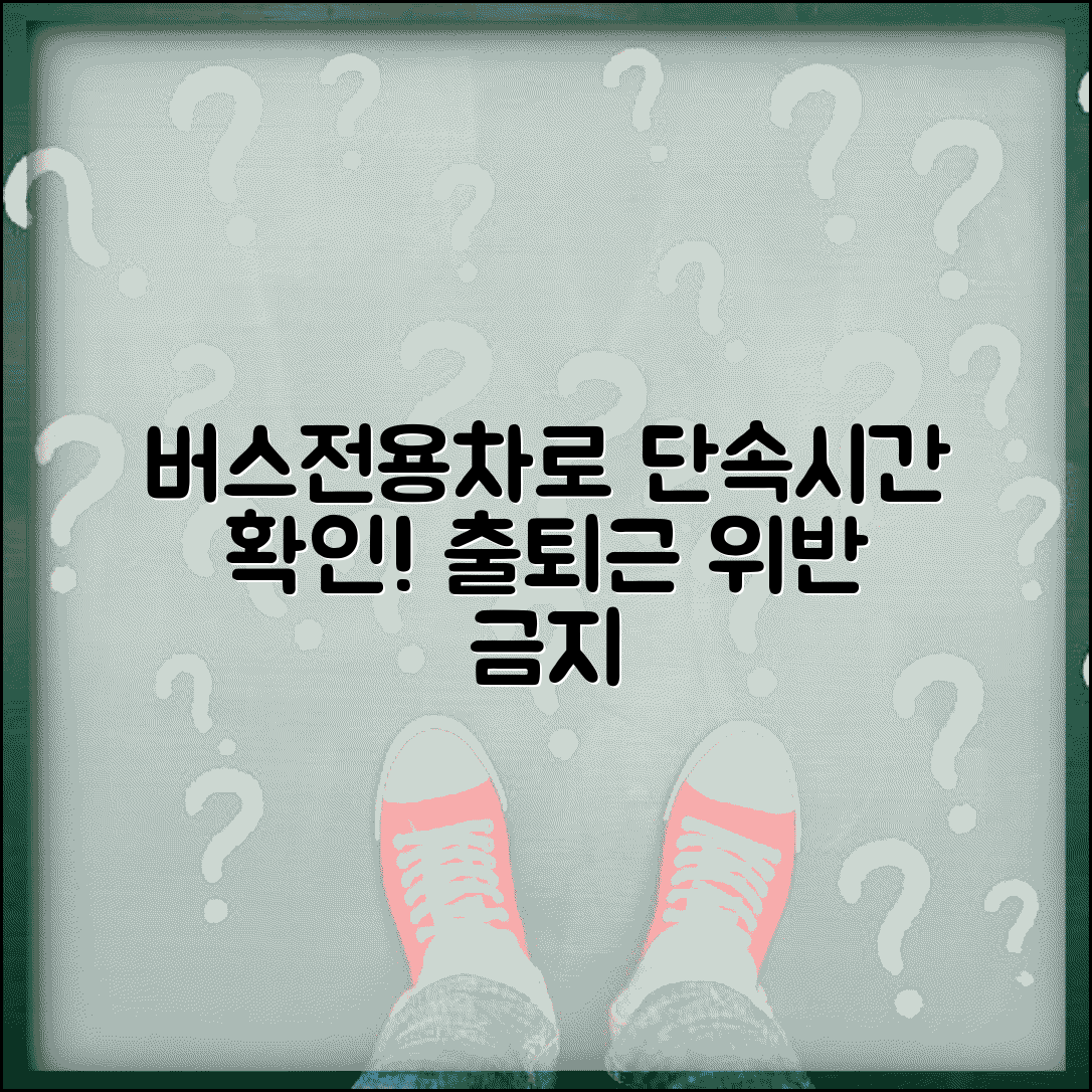 버스전용차로 단속시간 출퇴근 | 버스차로 위반 단속 시간대와 일반차량 통행 금지