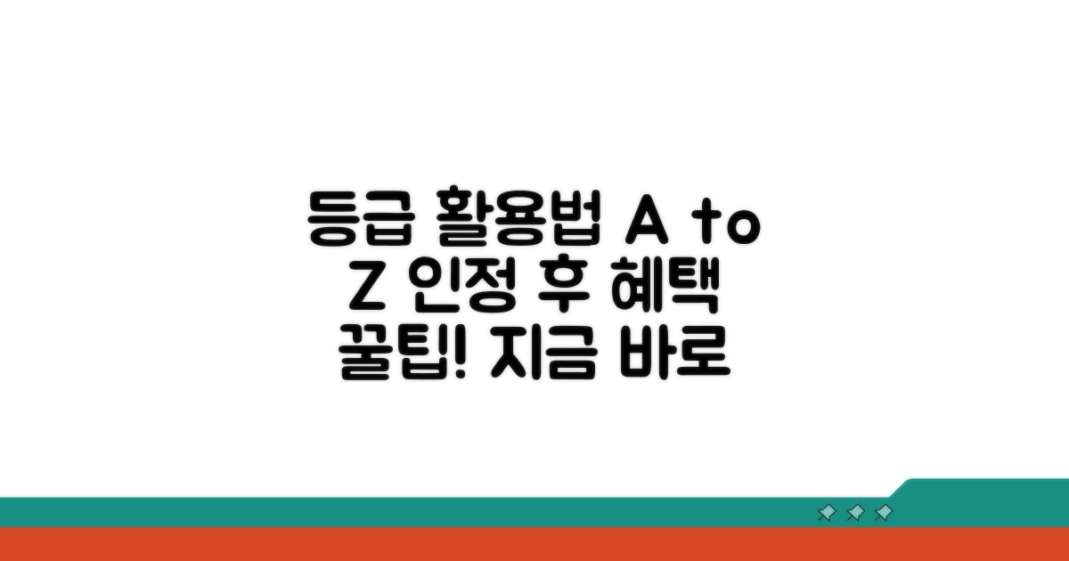 등급 인정 후 활용 방법 알아보기