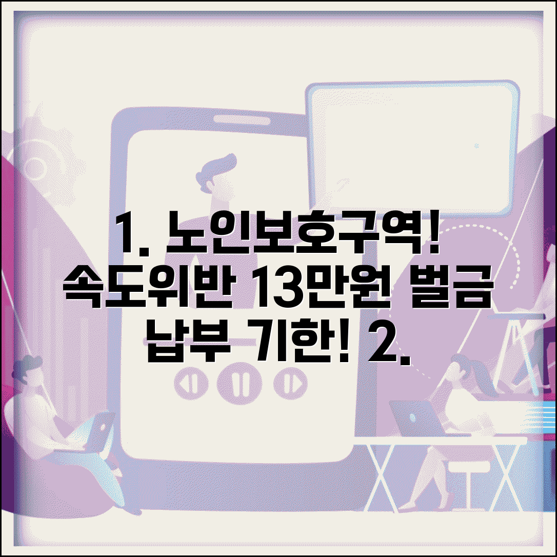 노인보호구역 범칙금 13만원 속도위반 벌금 납부 기한
