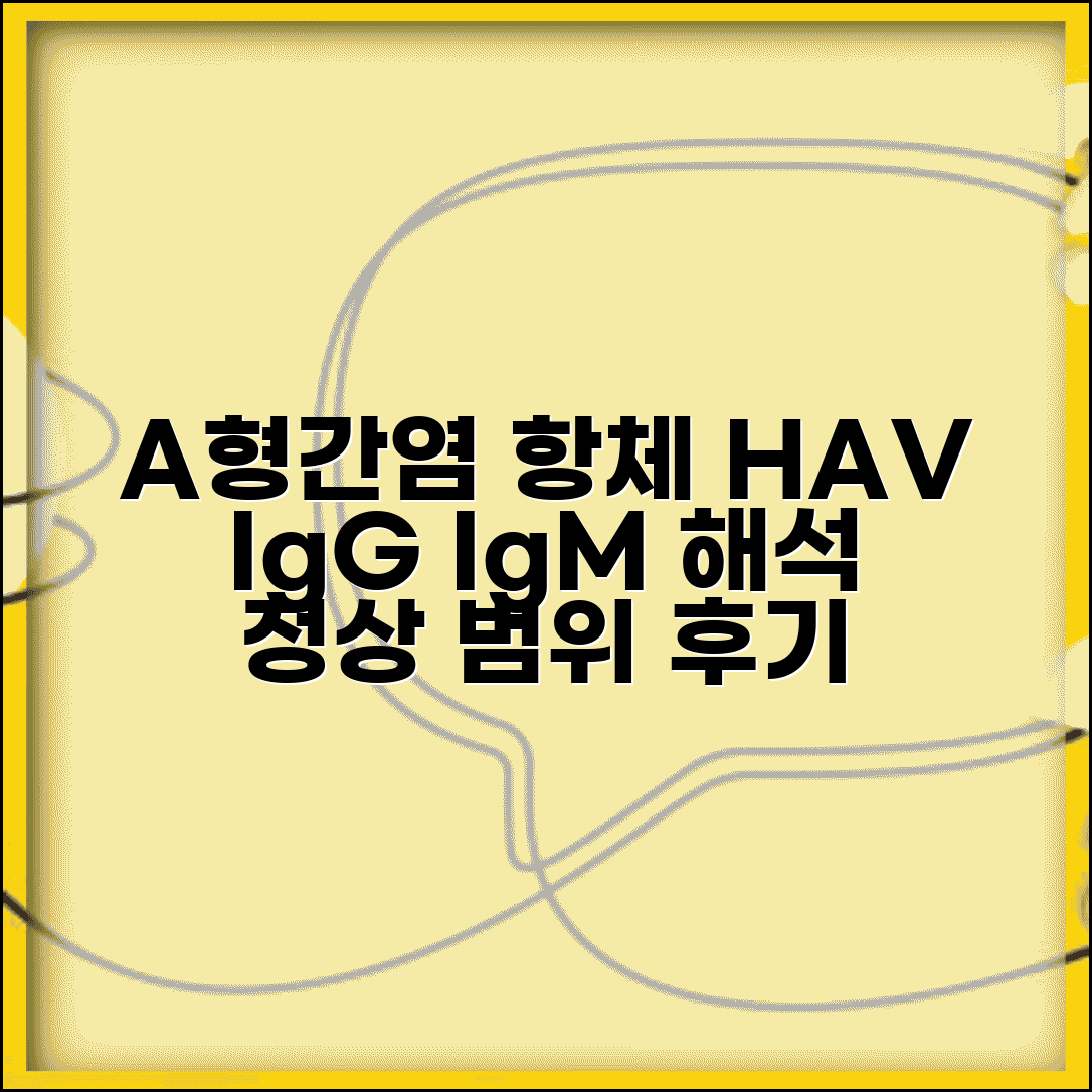 A형간염 항체 수치 HAV IgG IgM 해석 | 면역 항체 정상 범위 및 검사 후기