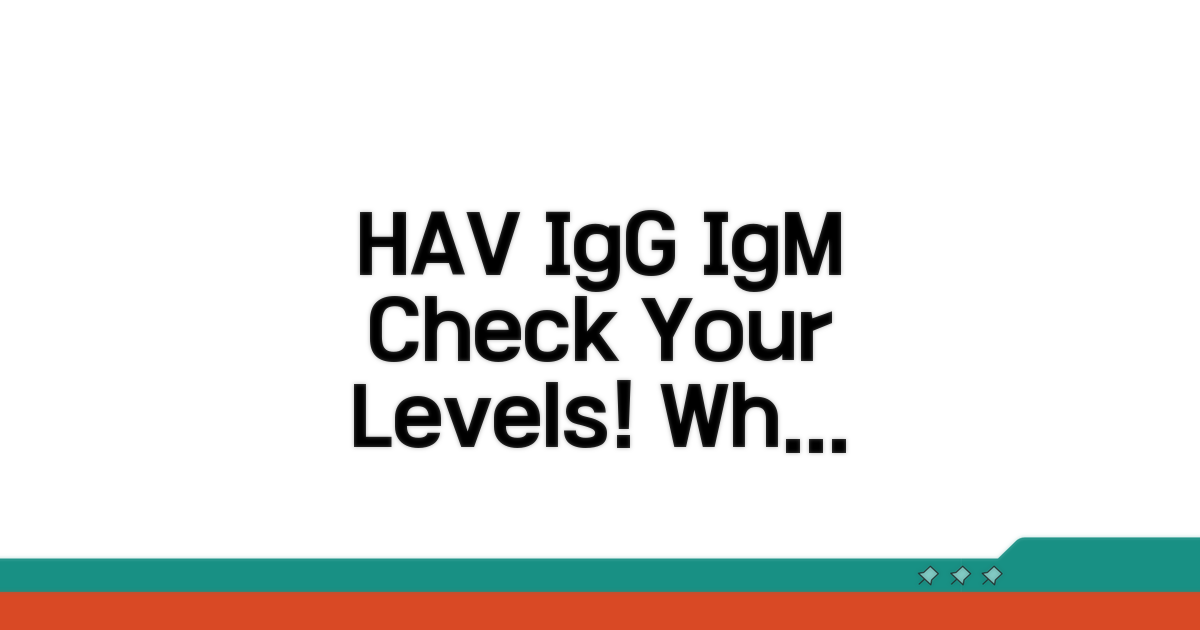 HAV IgG IgM 수치, 무엇을 말할까?