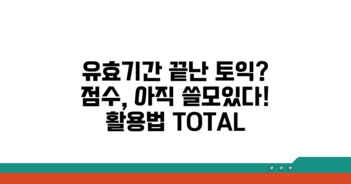 유효기간 지난 토익 점수 활용법