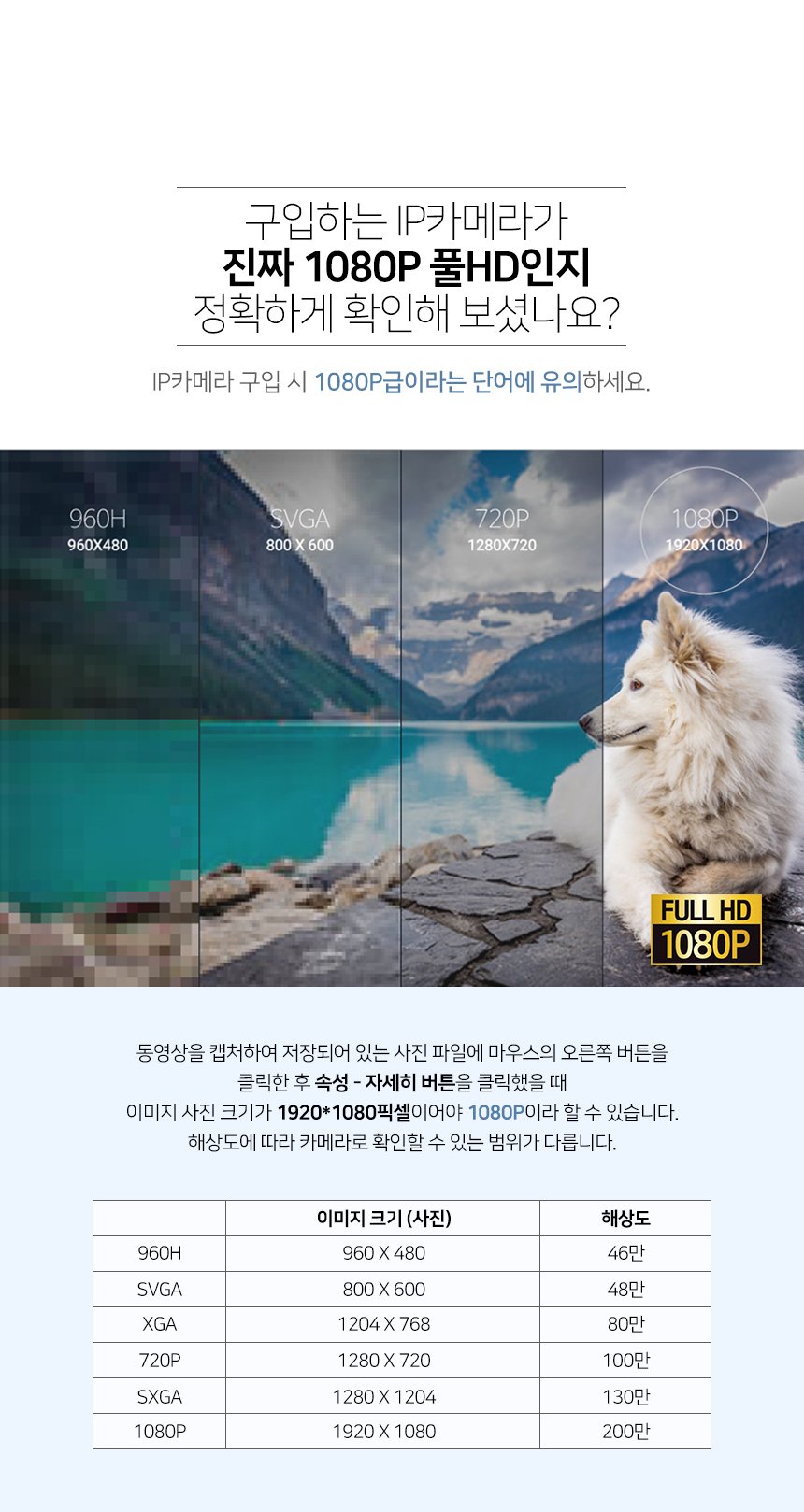 글로벌아이넷 로보뷰EX 홈 IP 카메라 CCTV 6mm 200만화소 2개 상세 이미지 1