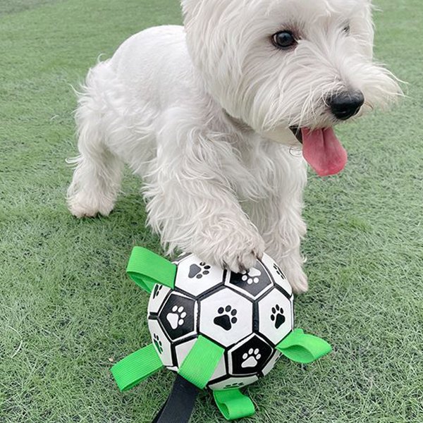 애견 축구공 15cm 강아지 장난감 줄 끈달린공 물놀이 공놀이 터그 노즈워크 스크랩볼 바운스 점볼 농구 공던지기 상세 이미지 2