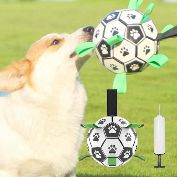 애견 축구공 15cm 강아지 장난감 줄 끈달린공 물놀이 공놀이 터그 노즈워크 스크랩볼 바운스 점볼 농구 공던지기 상세 이미지 1